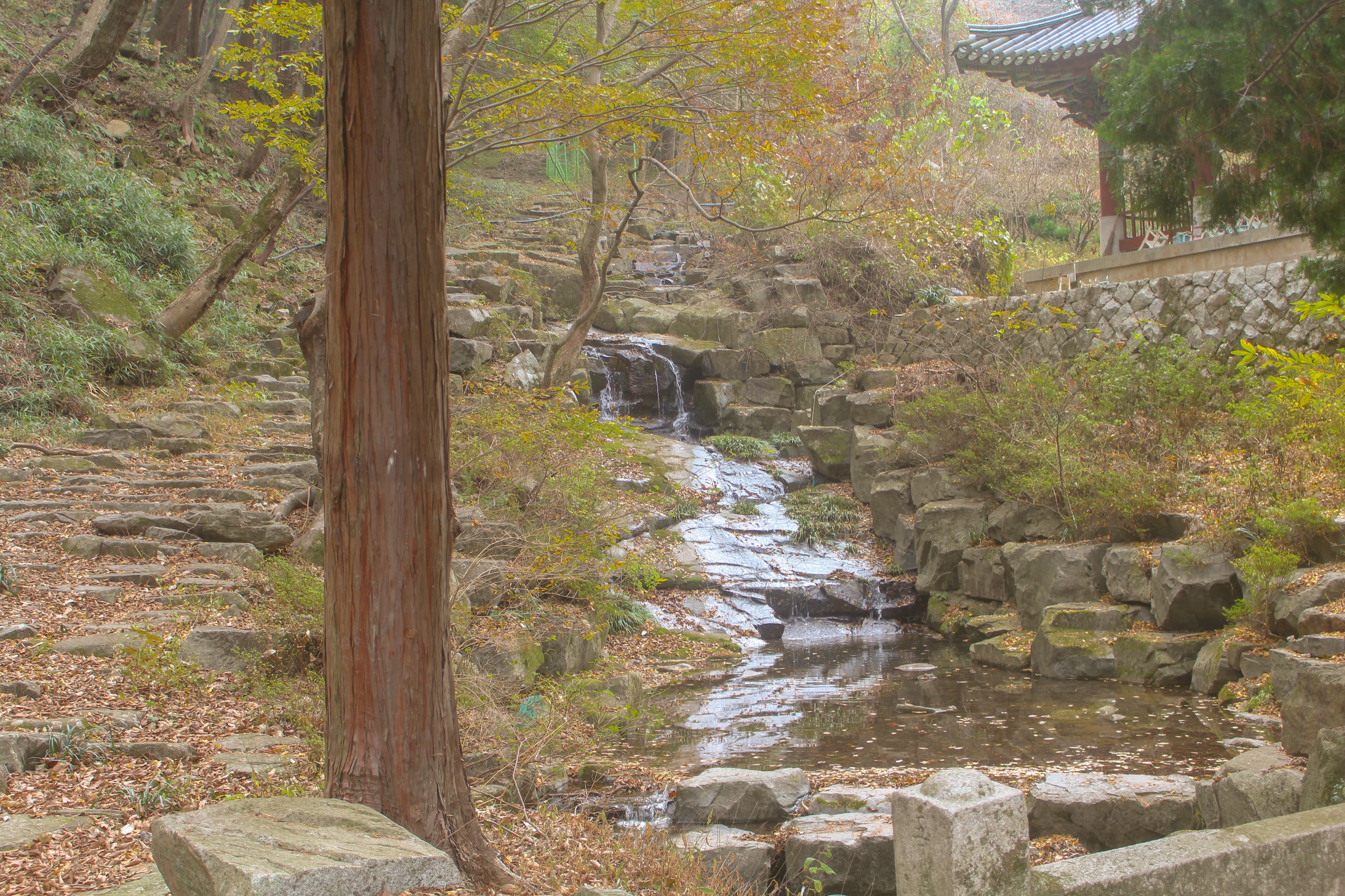옥천사